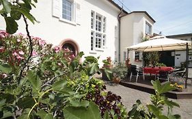 Bio-Weingut, Gaestehaus Und Kraeuterhof